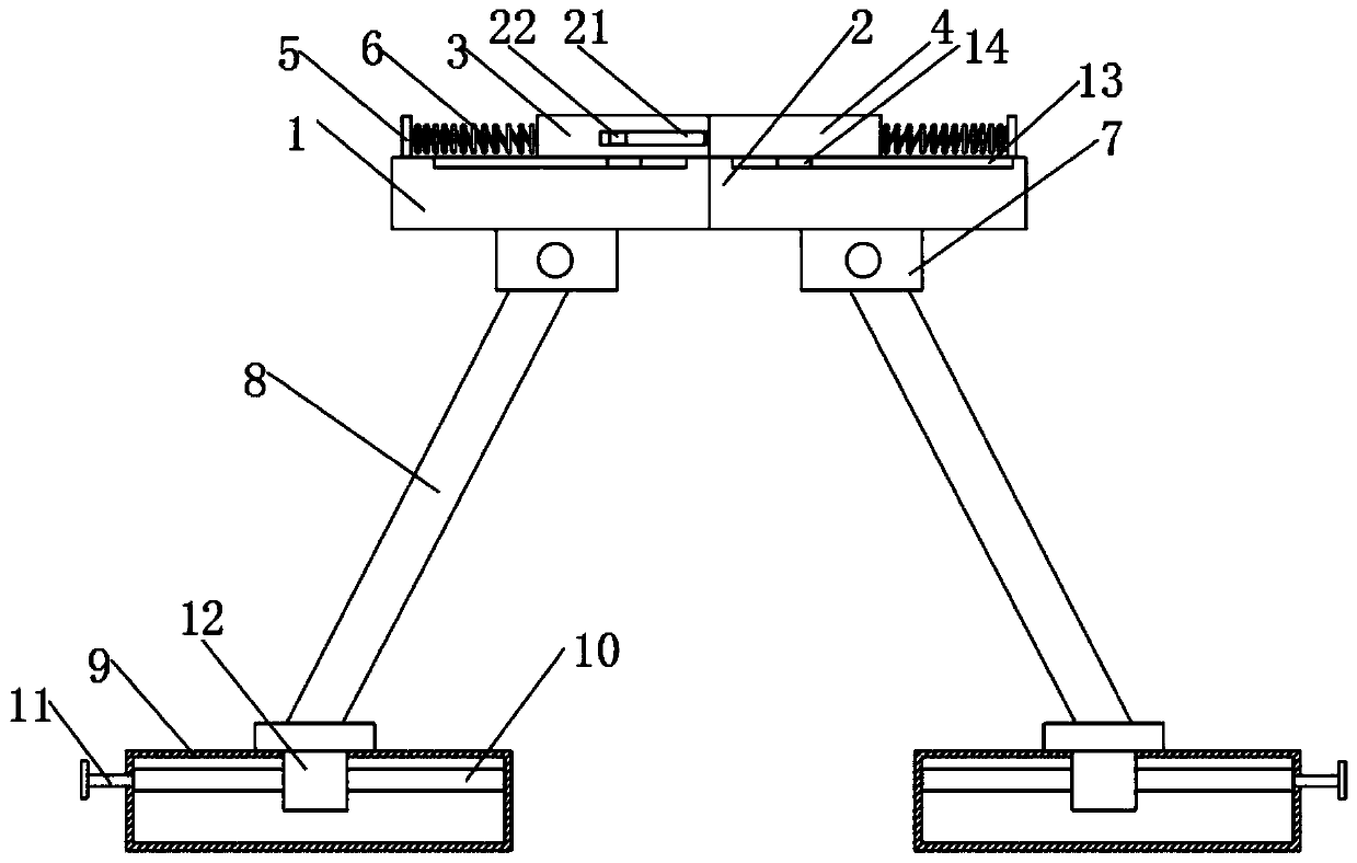 Artemisia carvifolia planting correcting device for preventing artemisia carvifolia from dumping