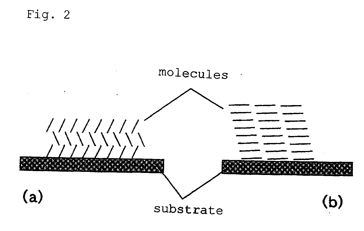 Vertical organic fet and method for manufacturing same