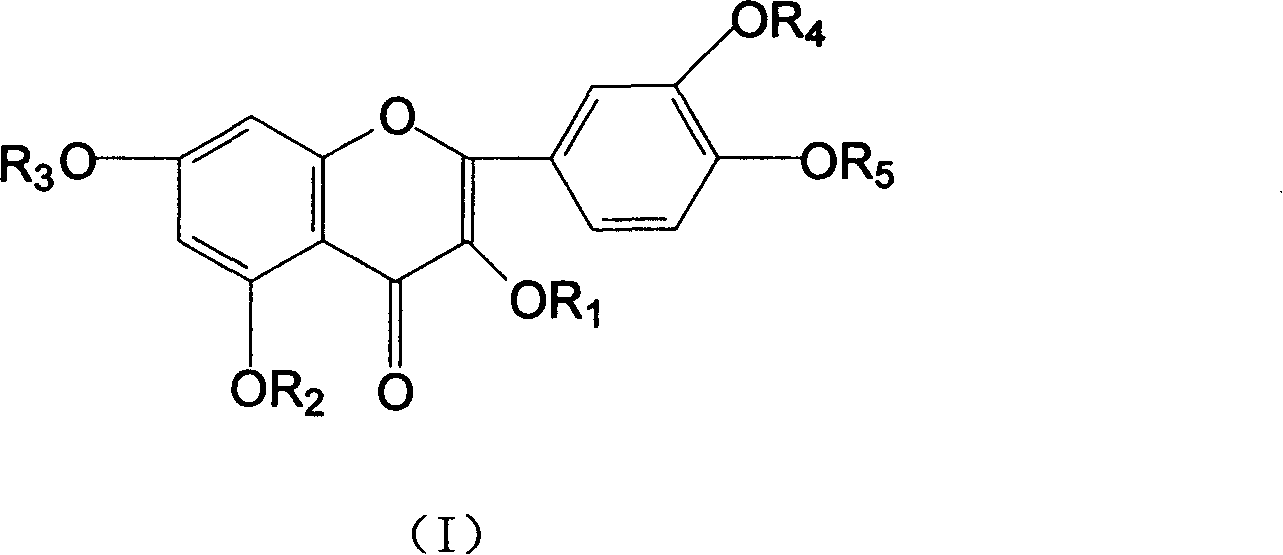 Hydroxy butyl rutin derivatives and preparation process thereof