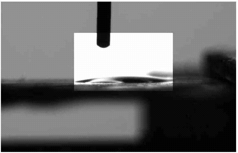 Polyamide composite nanofiltration membrane with main chain containing ether oxygen structure, and preparation method thereof