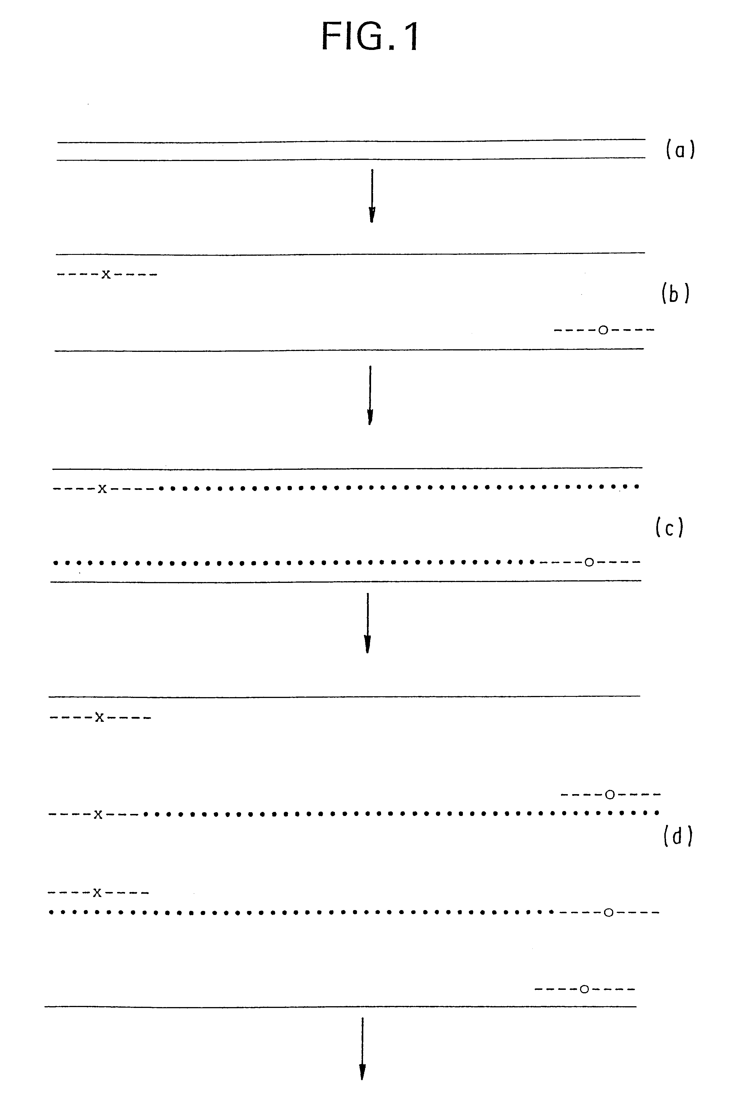 Linked linear amplification of nucleic acids