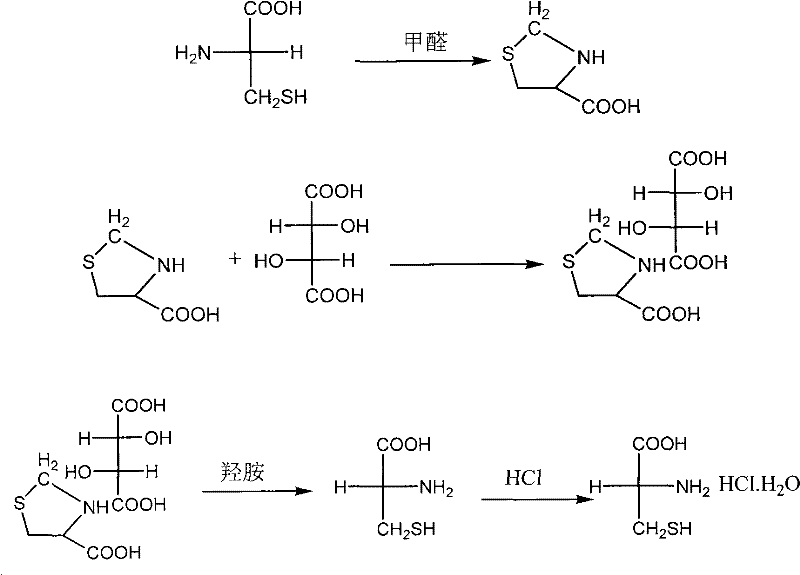D-cysteine hydrochloride monohydrate preparation method