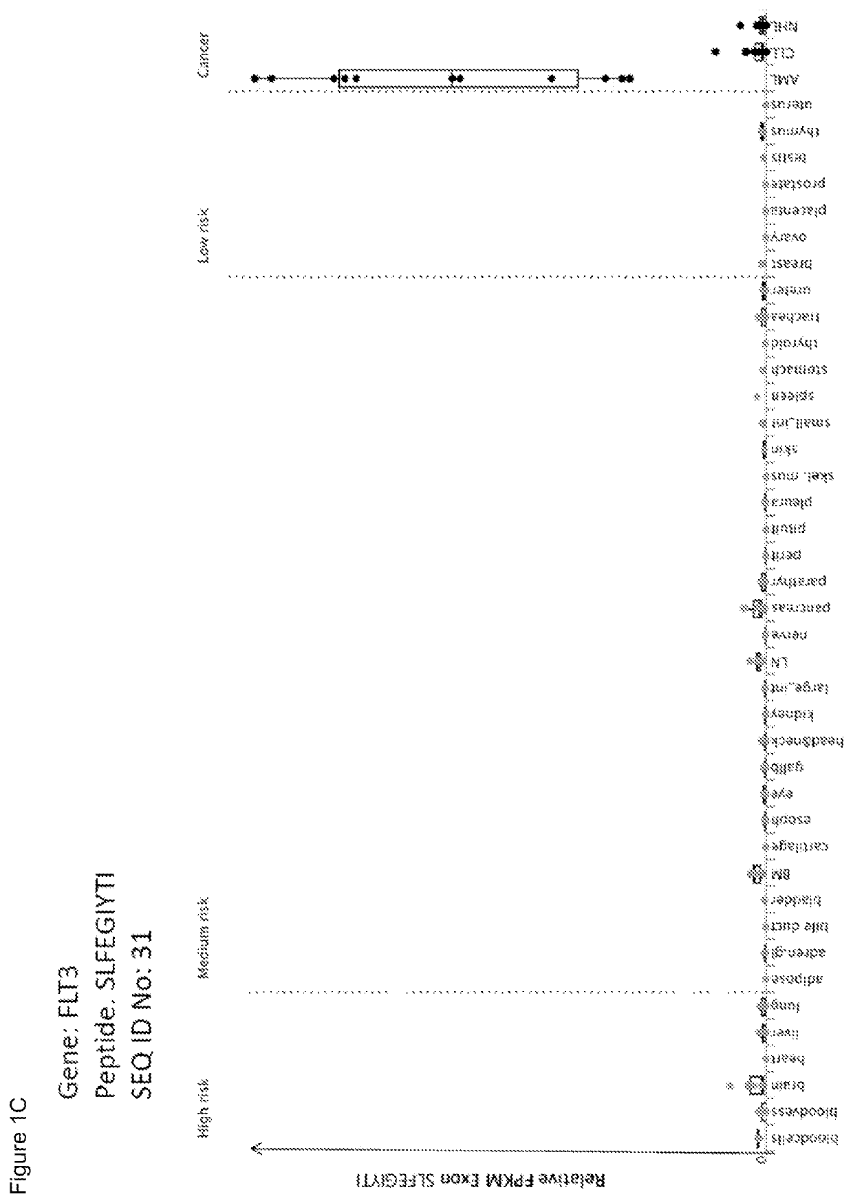 Peptides and combination of peptides for use in immunotherapy against leukemias and other cancers