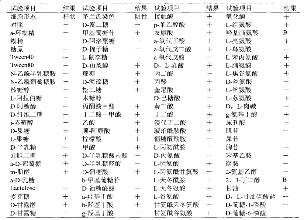 Aerobic denitrification methylobacterium phyllosphaerae and application thereof