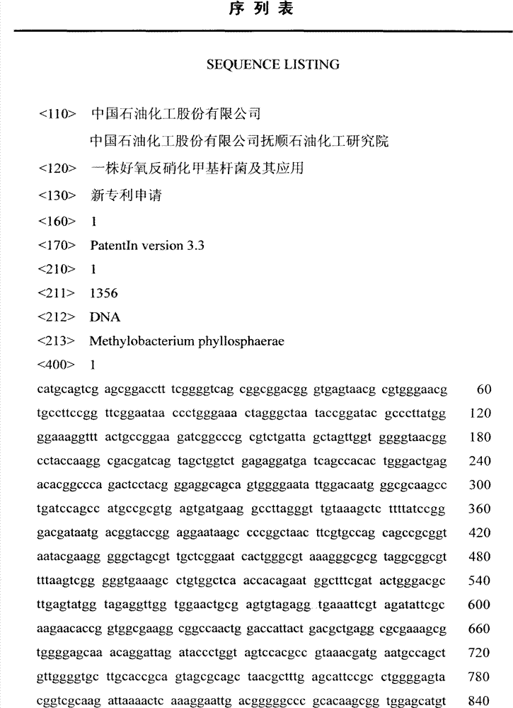 Aerobic denitrification methylobacterium phyllosphaerae and application thereof