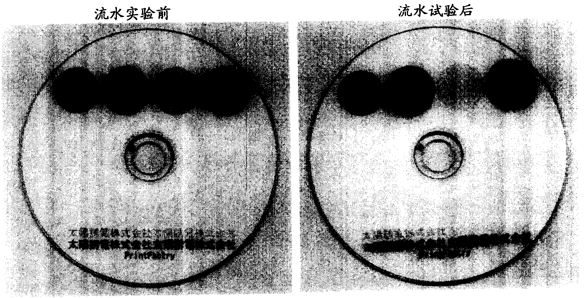 Optical information recording medium