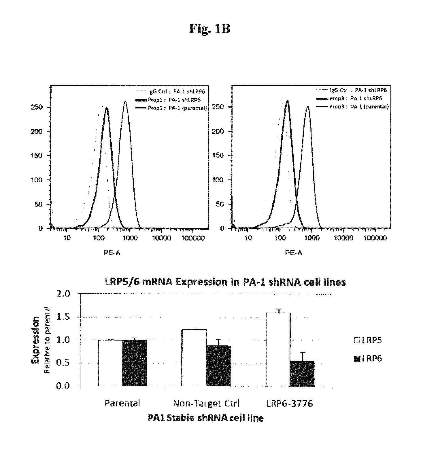 Compositions and methods of use for therapeutic low density lipoprotein - related protein 6 (LRP6) multivalent antibodies