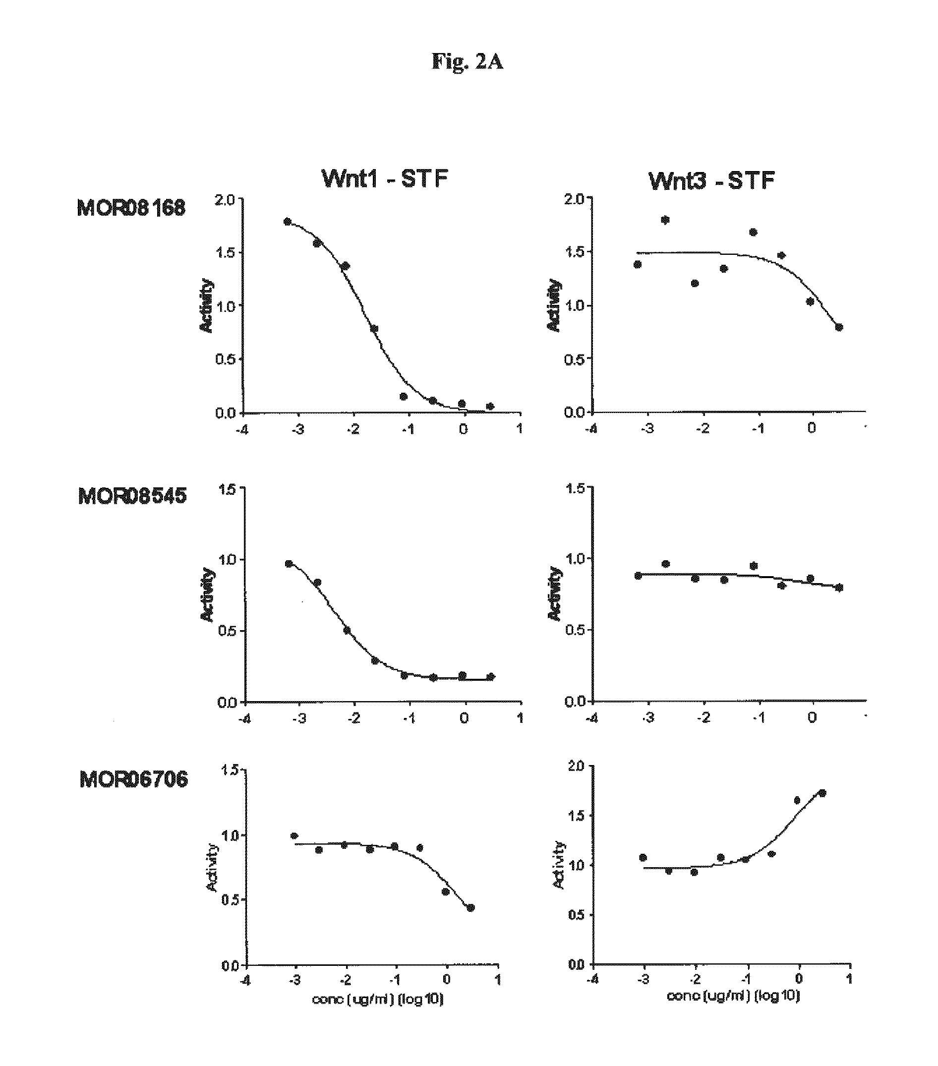 Compositions and methods of use for therapeutic low density lipoprotein - related protein 6 (LRP6) multivalent antibodies