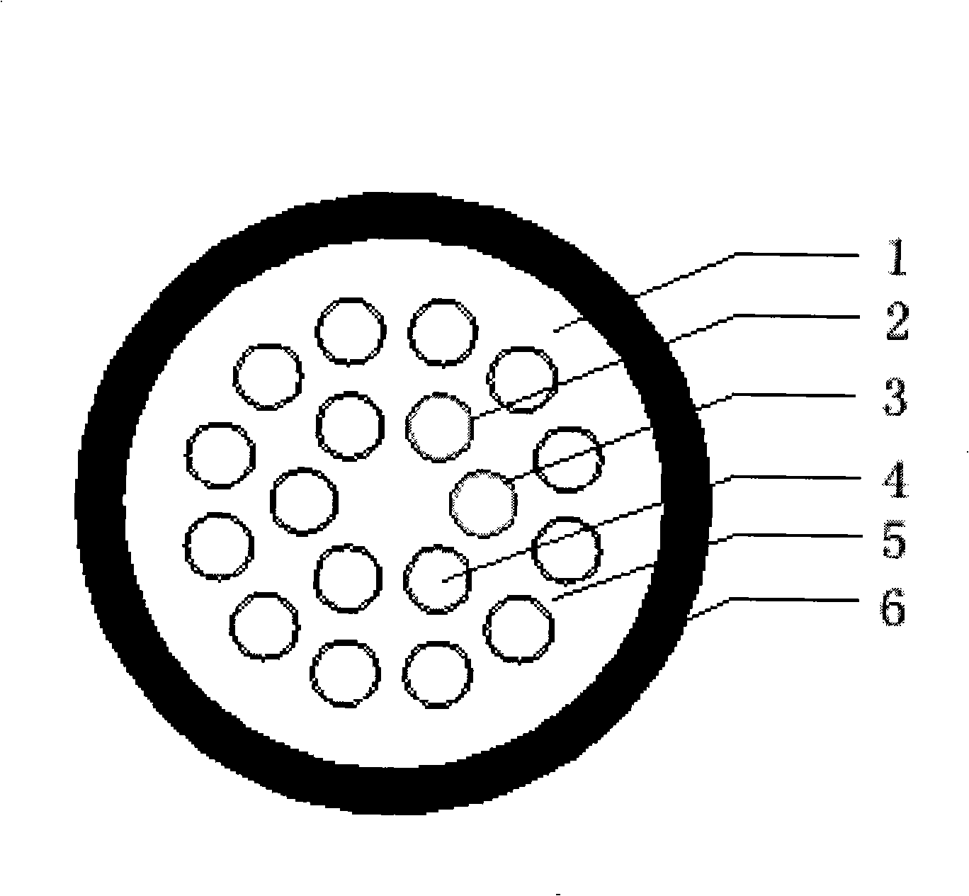 Microstructure optical fiber sensing probe