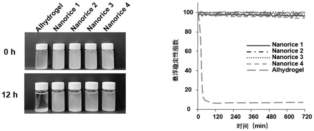 Preparation method of rice-grain-shaped hydroxyl alumina nano adjuvant with good suspension stability