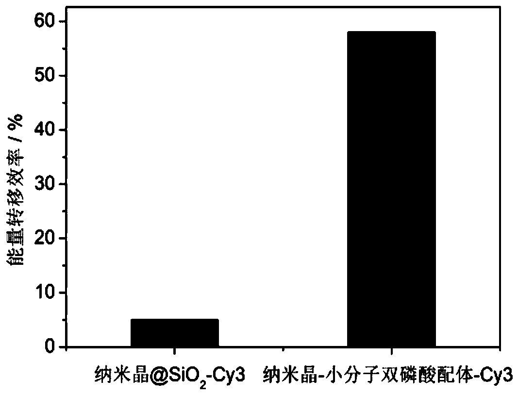 Water-soluble rare earth nanocrystalline, and application and preparation method thereof