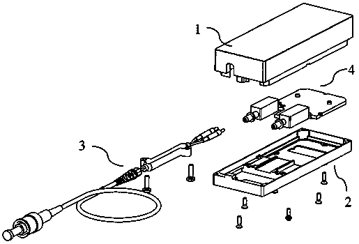 an optical module