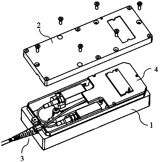 an optical module