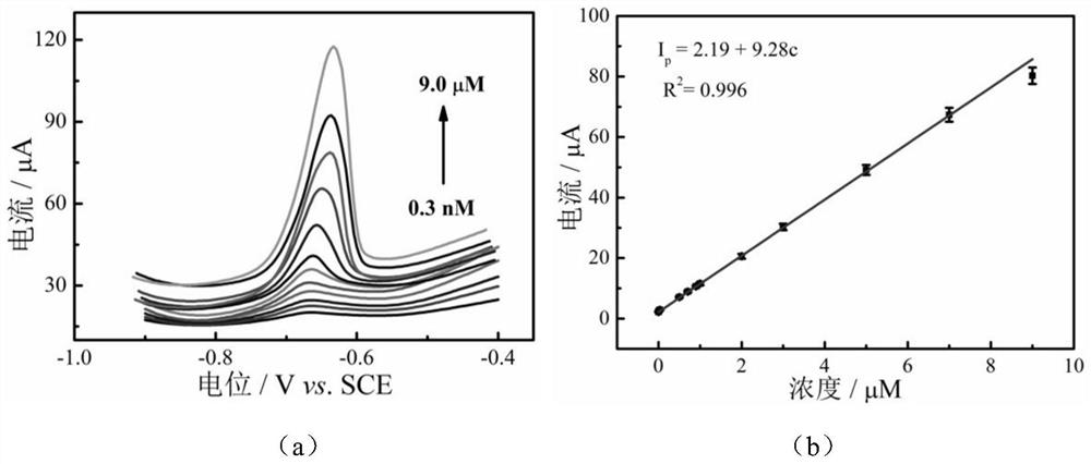 Electrochemical sensor for rapidly and efficiently detecting lead ions