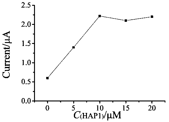 Electrochemical biosensor for detecting kanamycin as well as preparation method and application