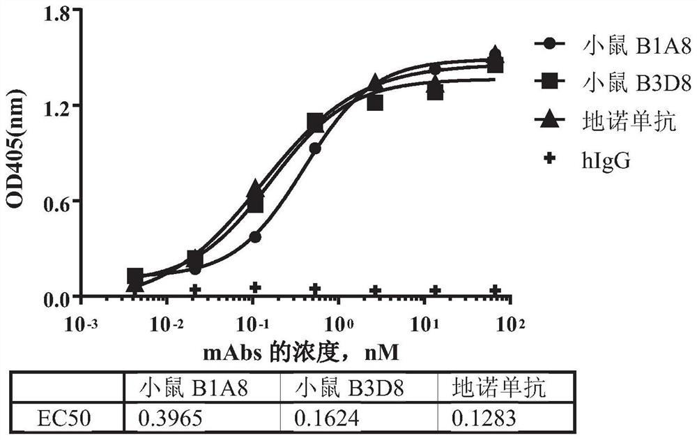 Antibodies binding rankl and uses thereof