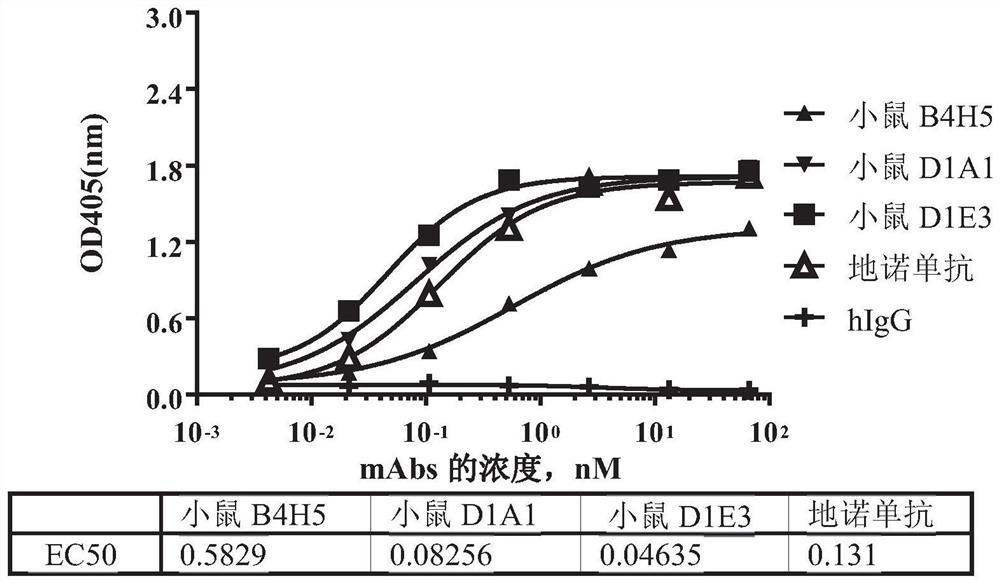 Antibodies binding rankl and uses thereof