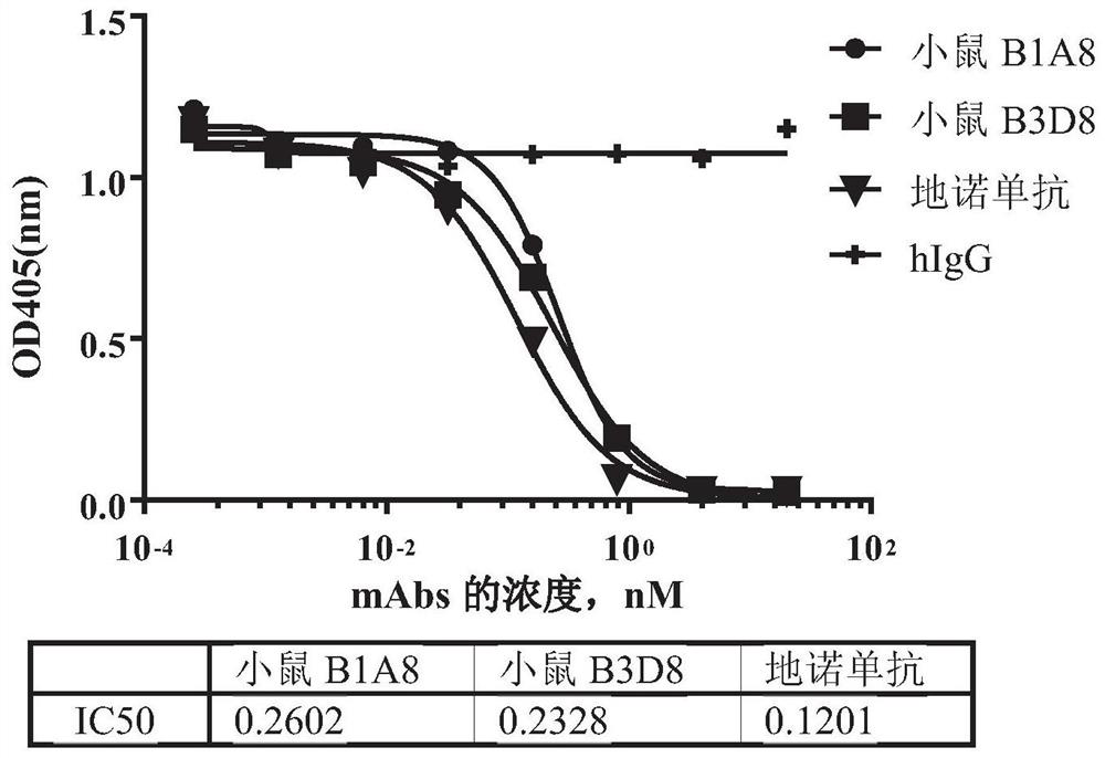 Antibodies binding rankl and uses thereof