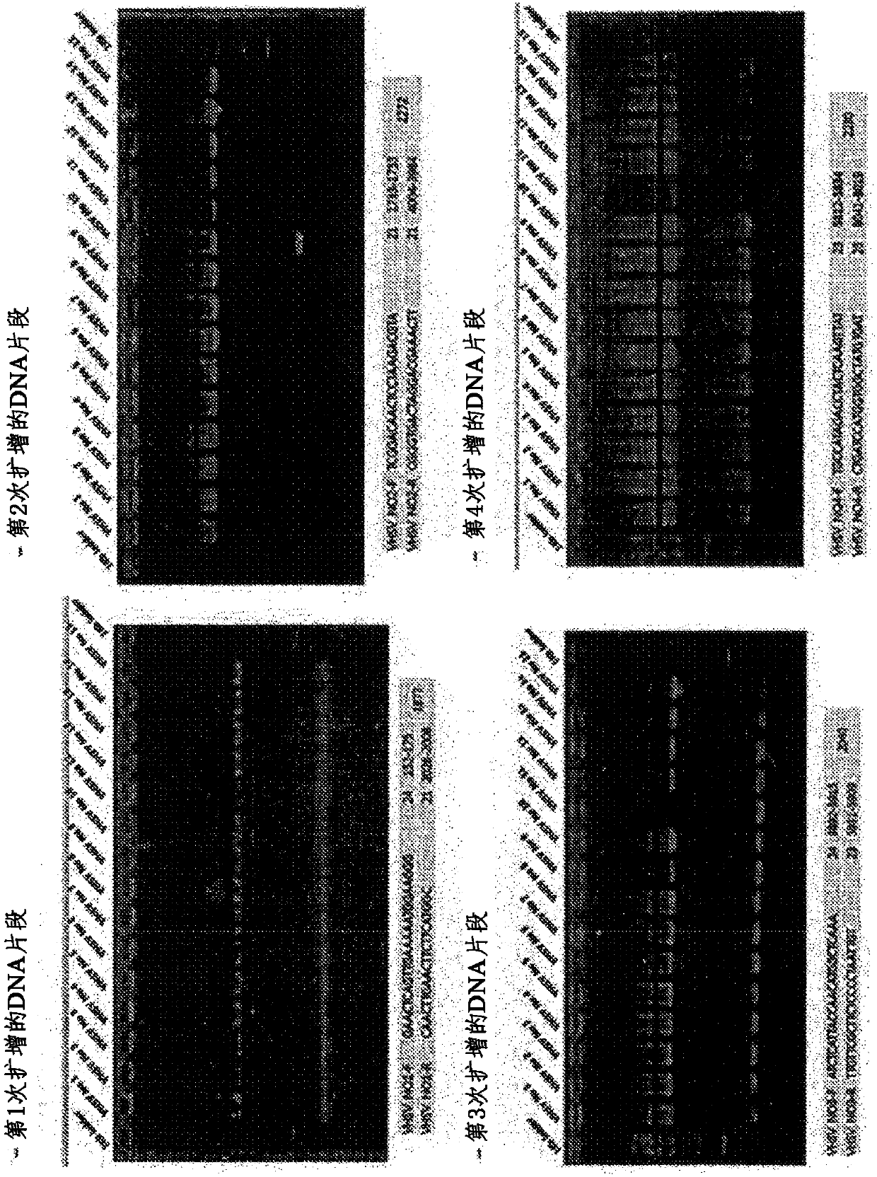 Biomarker for detecting highly pathogenic viral hemorrhagic septicemia virus and diagnostic method