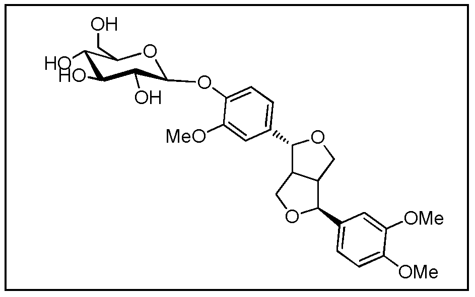 Application of forsythin derivatives in preparation of drugs for preventing or/and treating liver damage