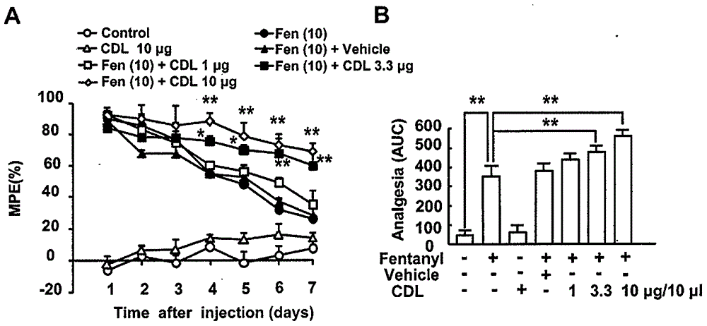 CDL (corydalmine) medicine composition for preventing and treating opioid analgesic pain relieving tolerance