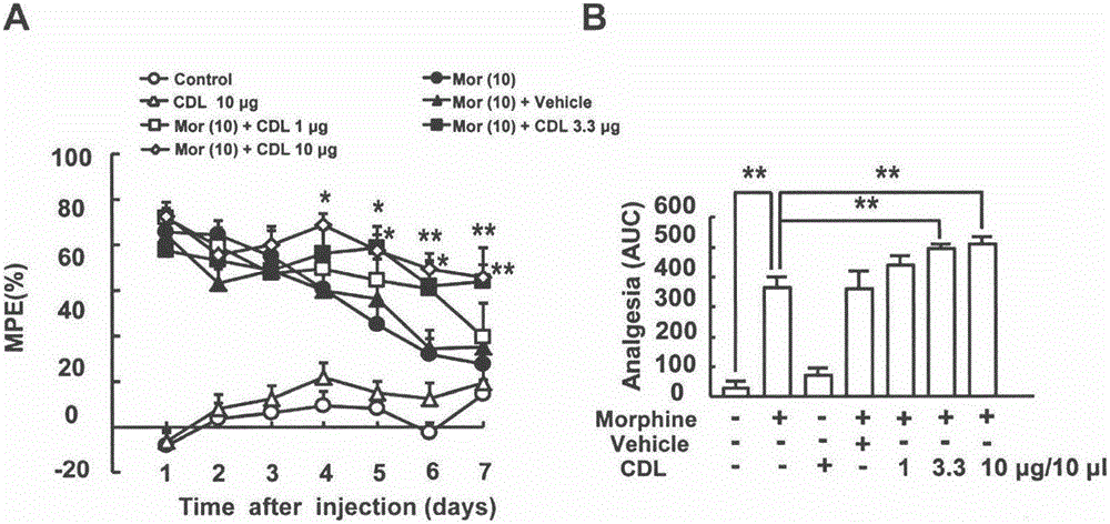 CDL (corydalmine) medicine composition for preventing and treating opioid analgesic pain relieving tolerance