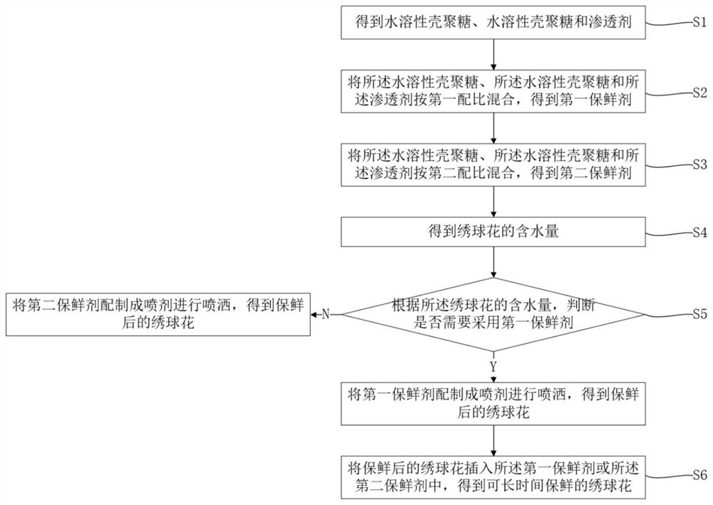 Chitosan preservative and use method thereof