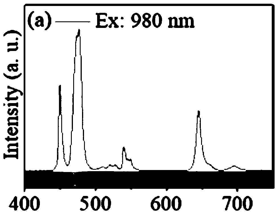 Single-particle nano crystal with three-primary-color luminescence and preparation method thereof