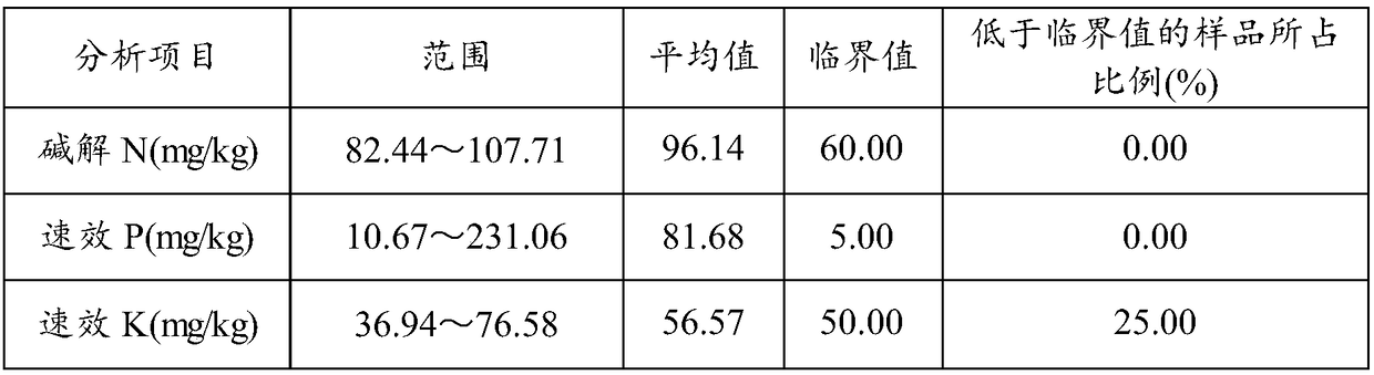 Grafting method for improving productivity of root systems of coffee tree saplings