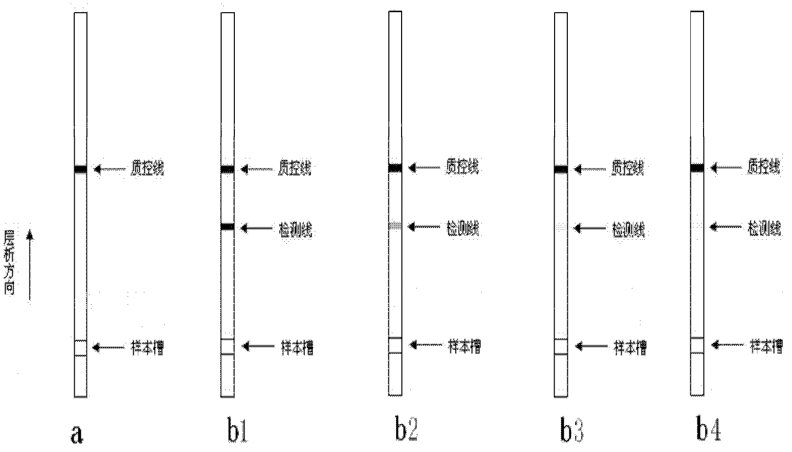 Quantitative detection method of fumonisins B1