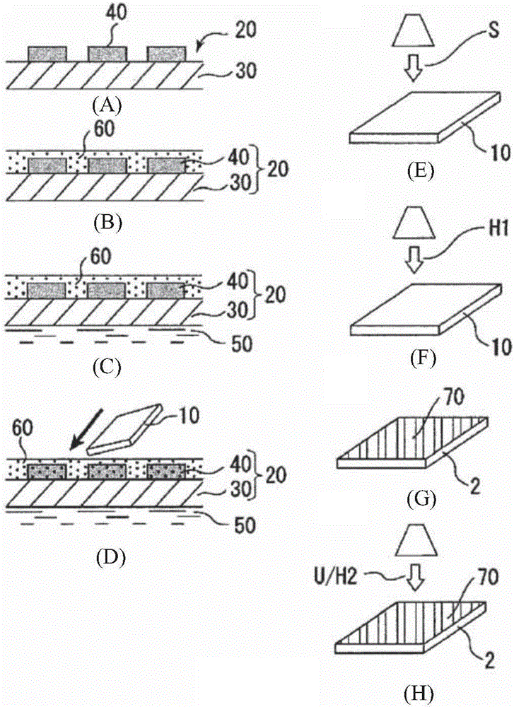 Heat- and light-curable coating composition and coating film formation method, water pressure transfer method