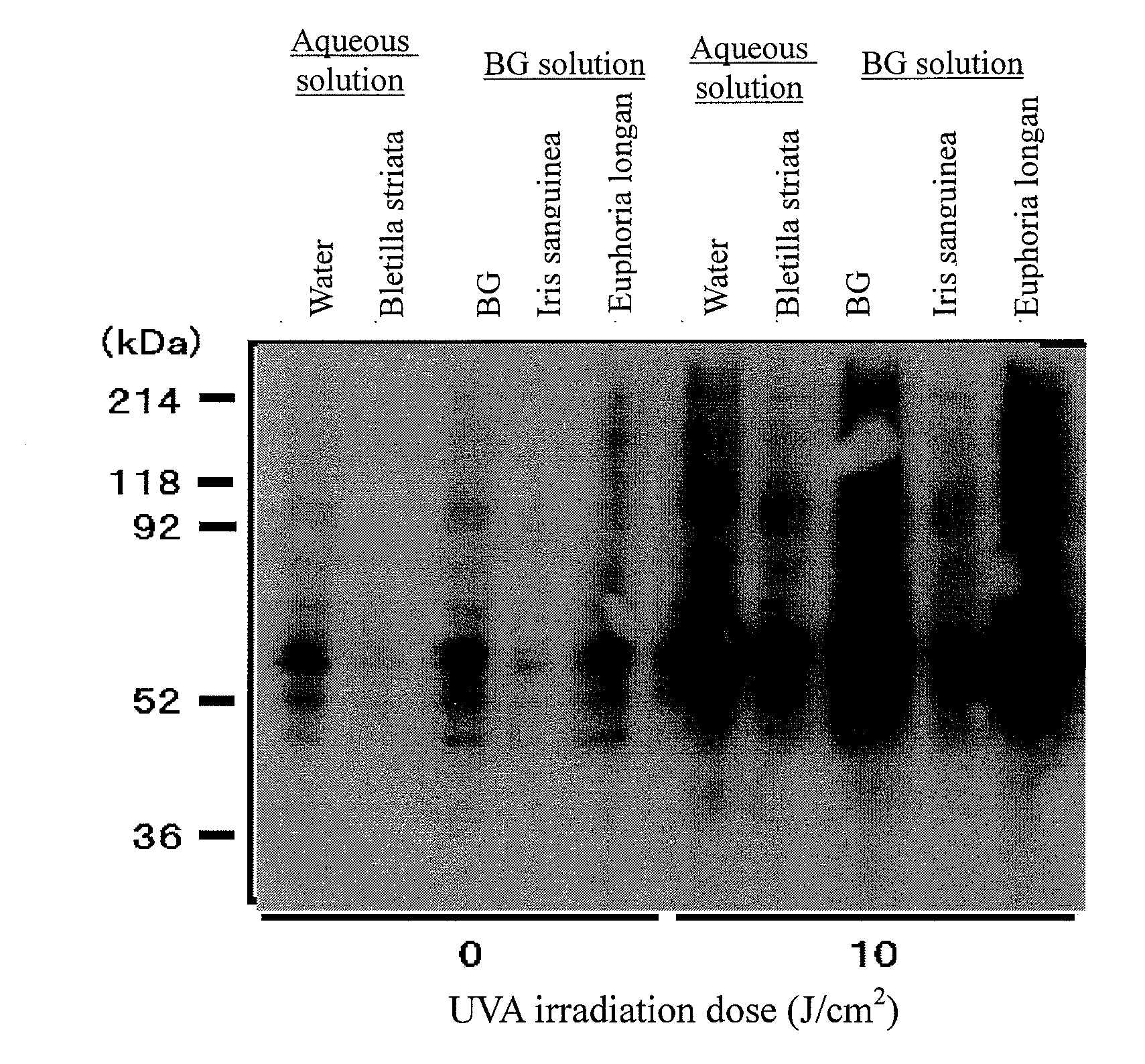 Abnormal protein removing composition
