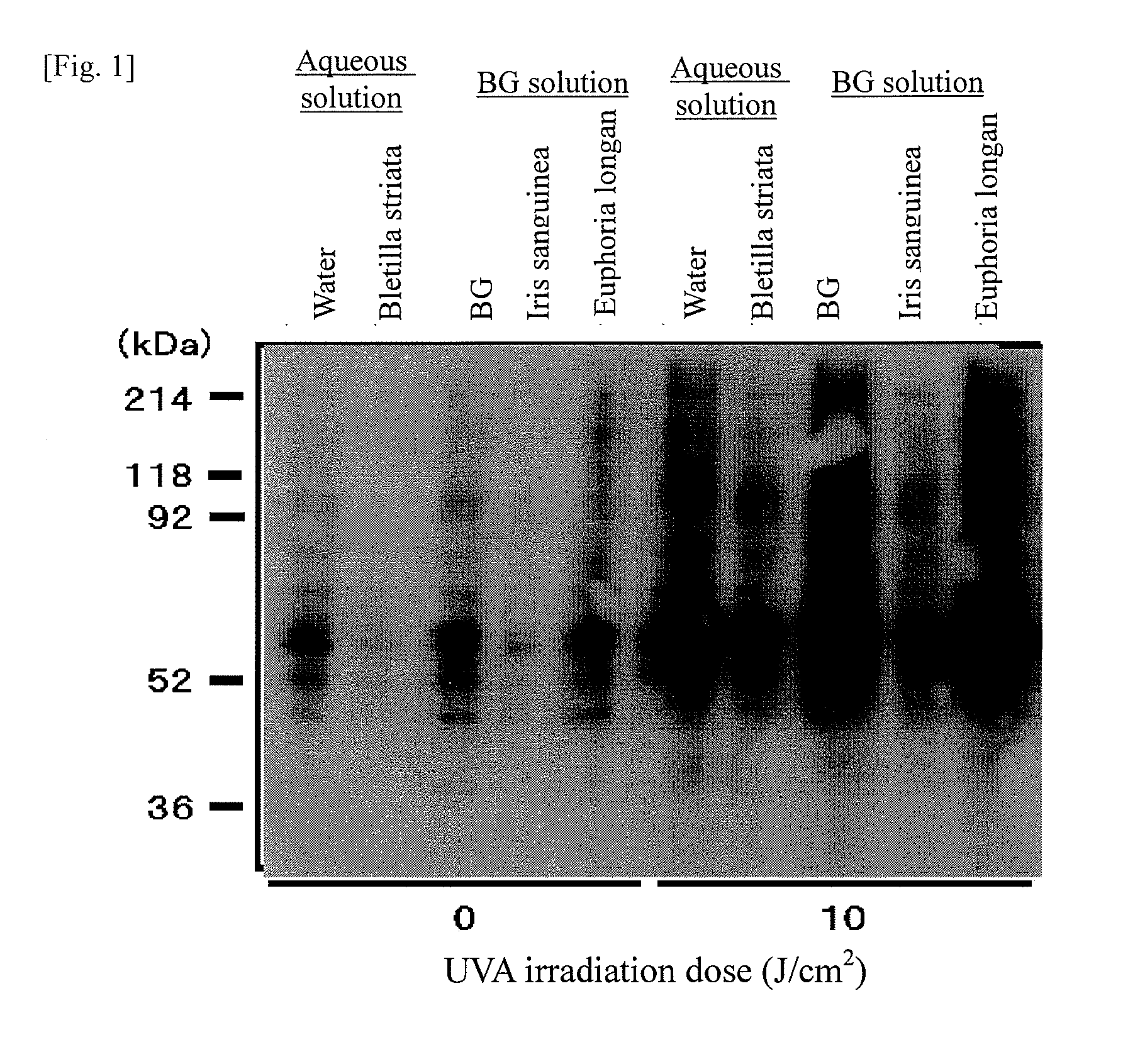 Abnormal protein removing composition