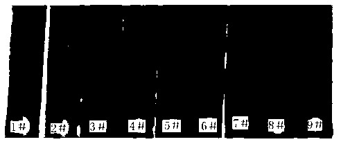 High-solid anticorrosive paint and preparation method thereof