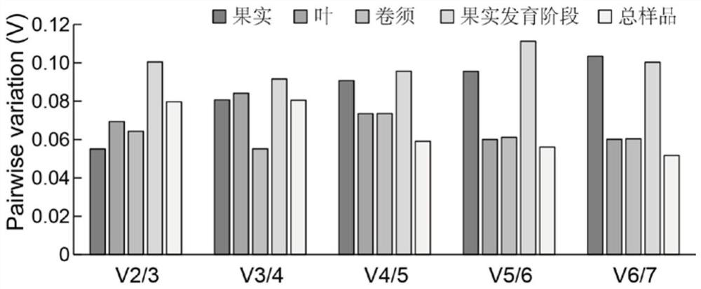 QRT-PCR reference gene of grapes as well as primers and application of qRT-PCR reference gene