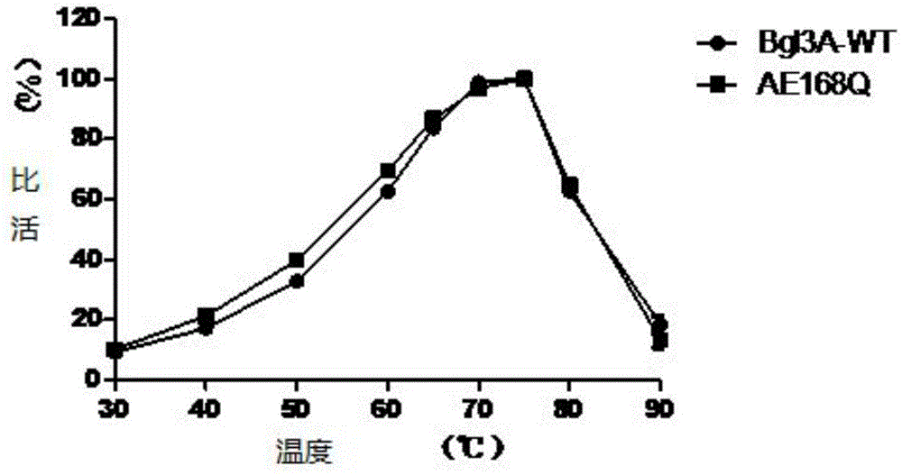 Beta-glucosaccharase improved mutant E168Q as well as coding gene and applications thereof