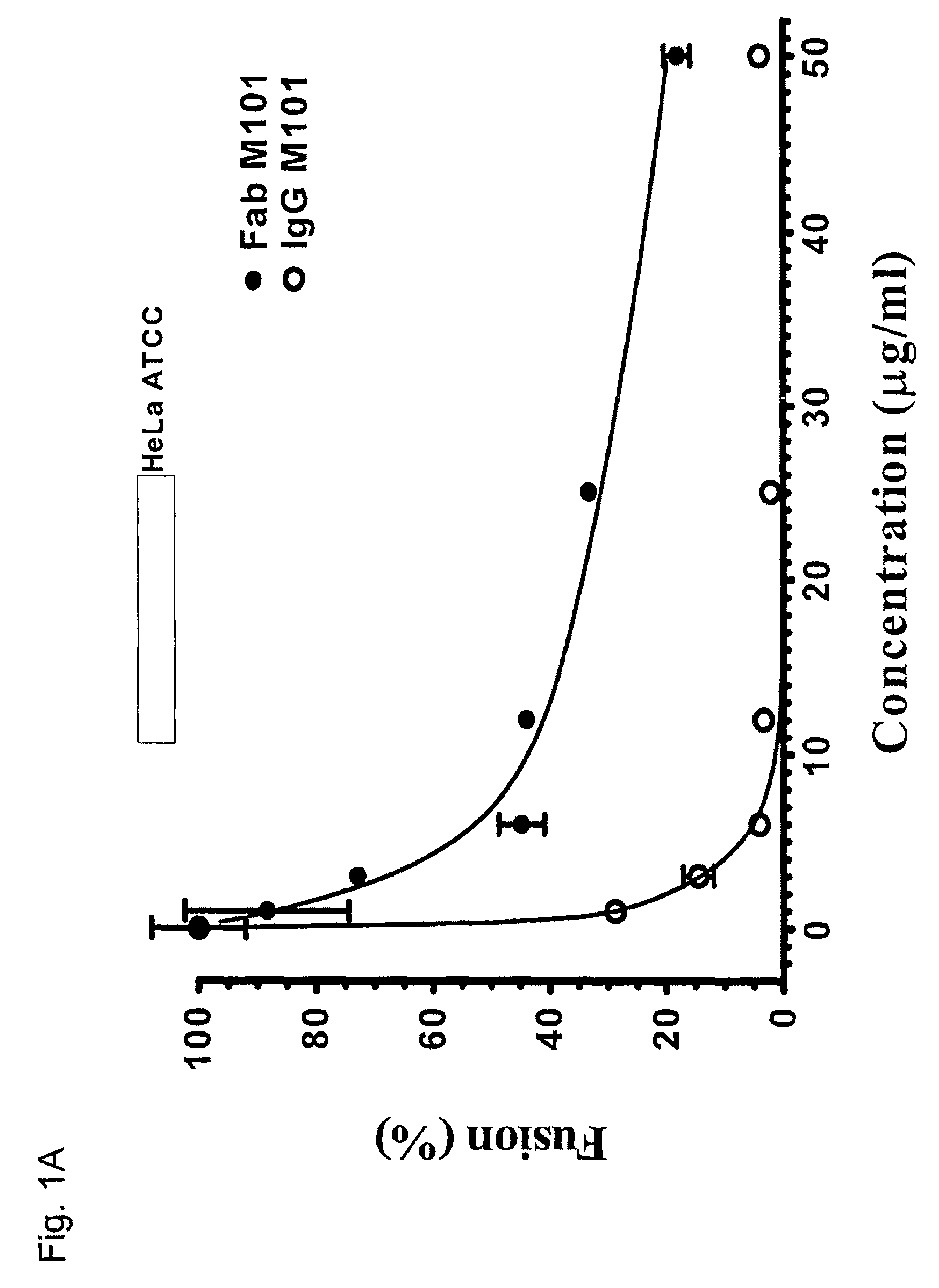 Human monoclonal antibodies against Hendra and Nipah viruses