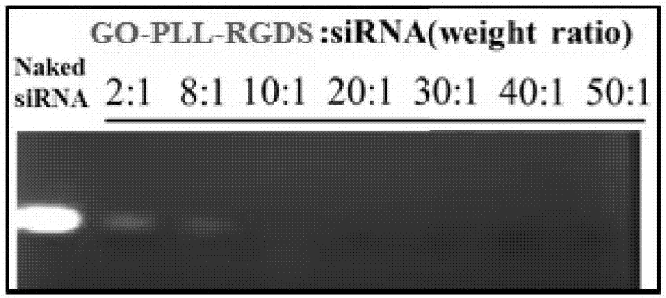 Preparation method, activity and application of GO-PLL-RGDS/VEGF-siRNA targeted gene drug