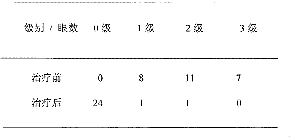 Ophthalmologic external preparation, as well as preparation method and application thereof