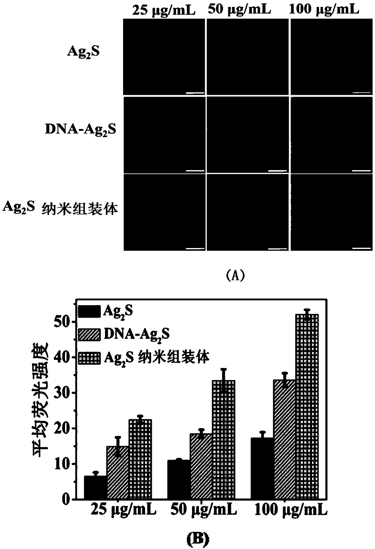 Near-infrared Ag2S nanometer assembly probe, and preparation method and applications thereof