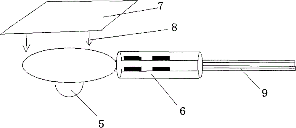 A holographic meridian diagnostic device