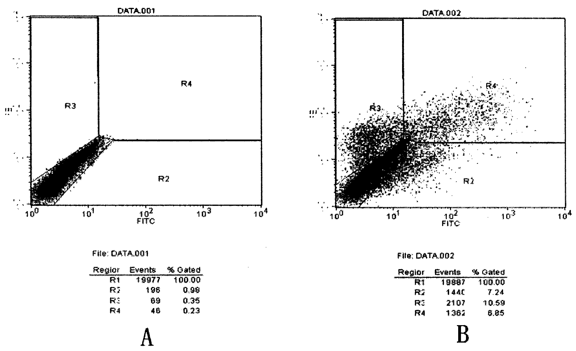 HPV58 (Human Papilloma Virus) type therapeutic composite genetic vaccine and construction method thereof