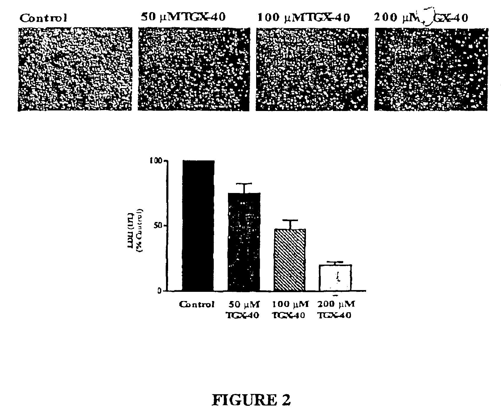 Therapeutic morpholino-substituted compounds