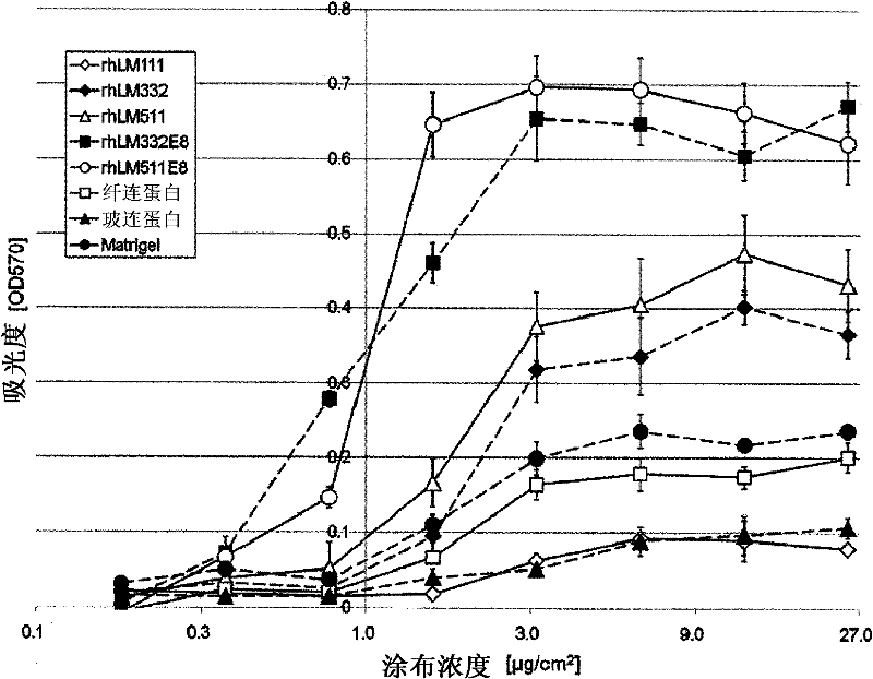 Culture substratum for human pluripotent stem cells, and use thereof