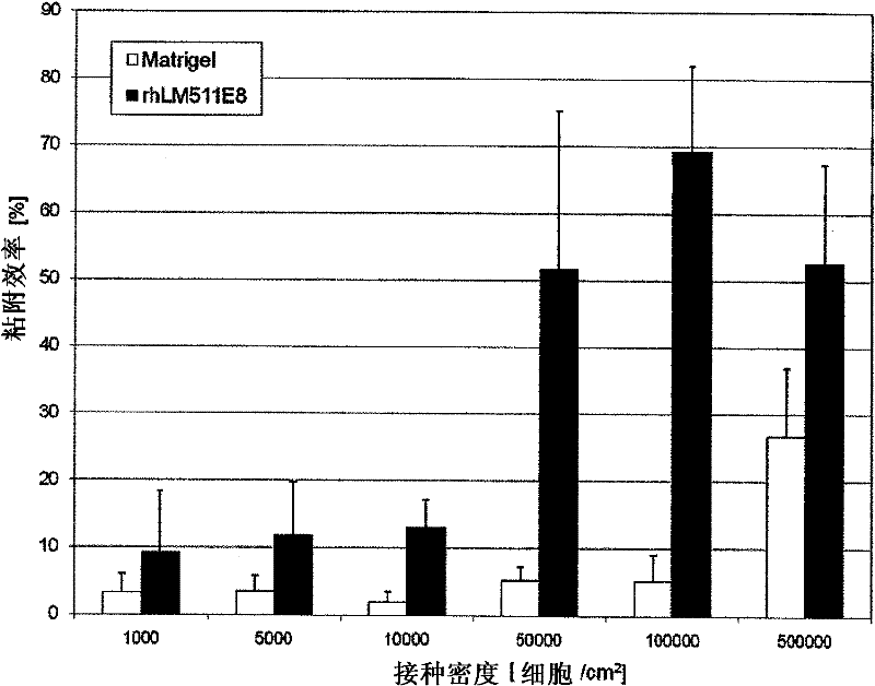 Culture substratum for human pluripotent stem cells, and use thereof