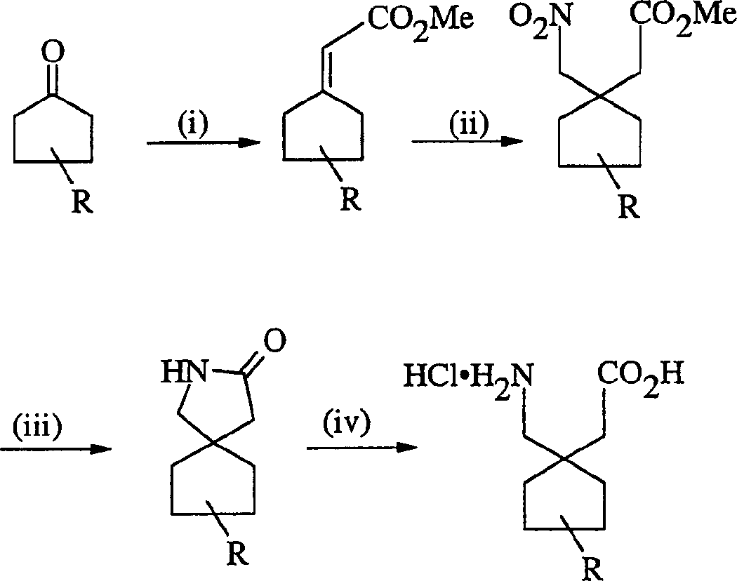 Gabapentin analogues for fibromy algia and other disorders