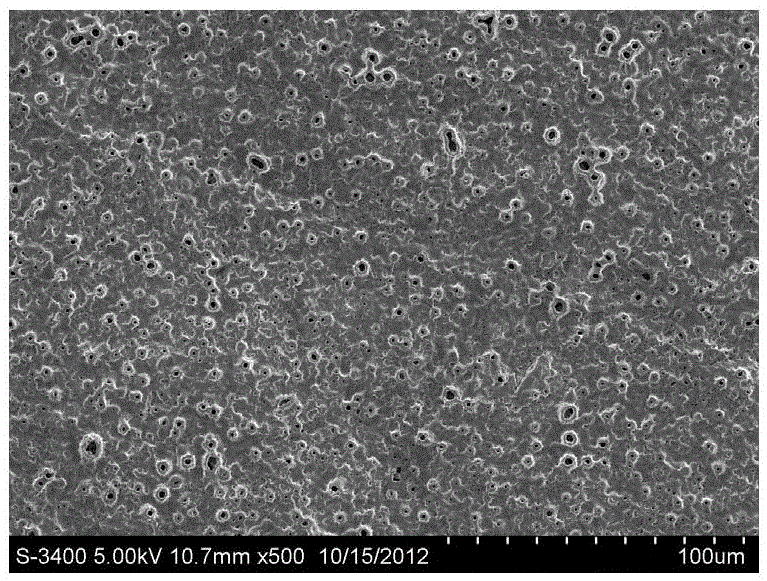 A kind of titanium oxide composite coating and preparation method thereof