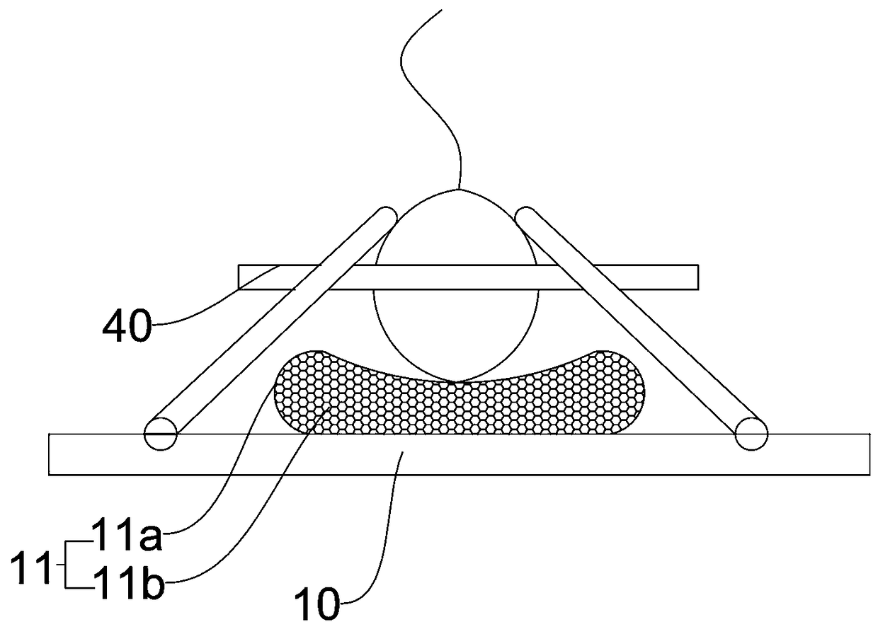 Watermelon protection device under small watermelon vertical cultivation condition