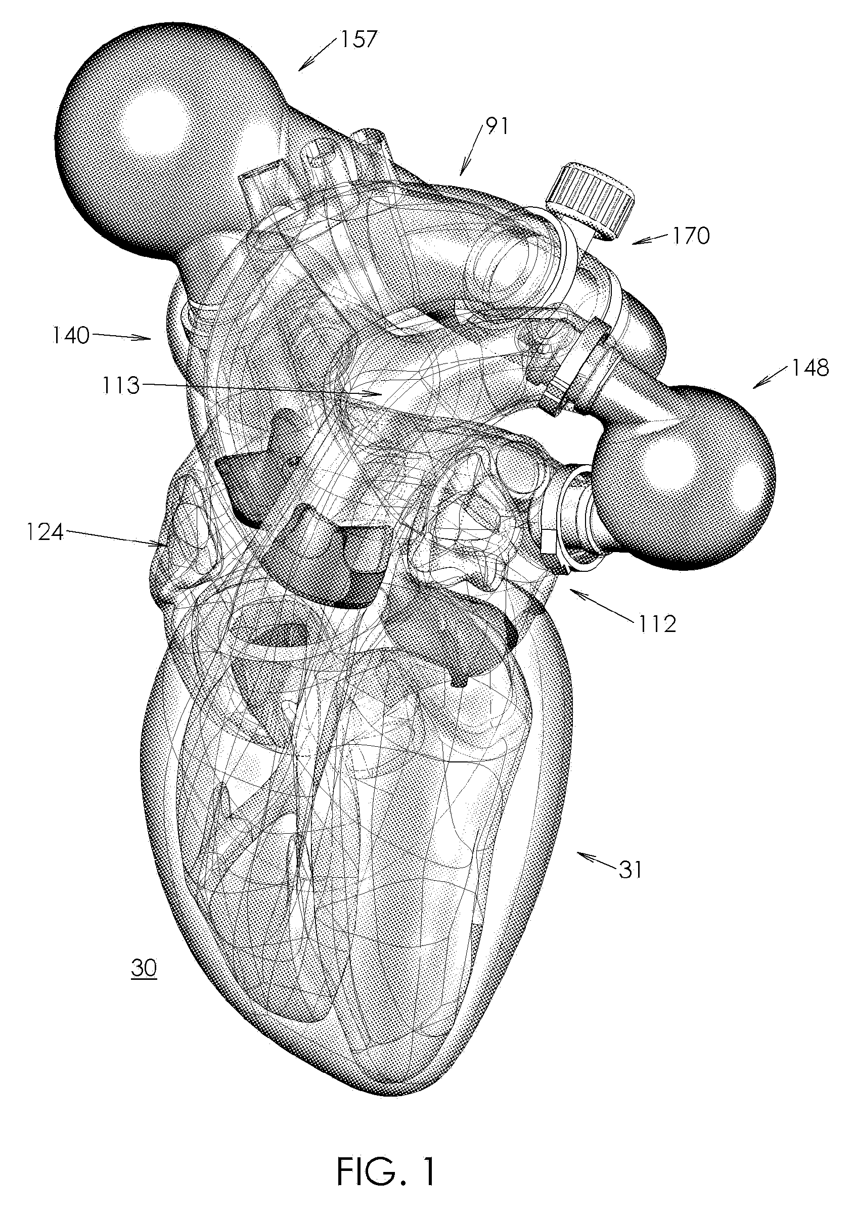 Circulatory heart model