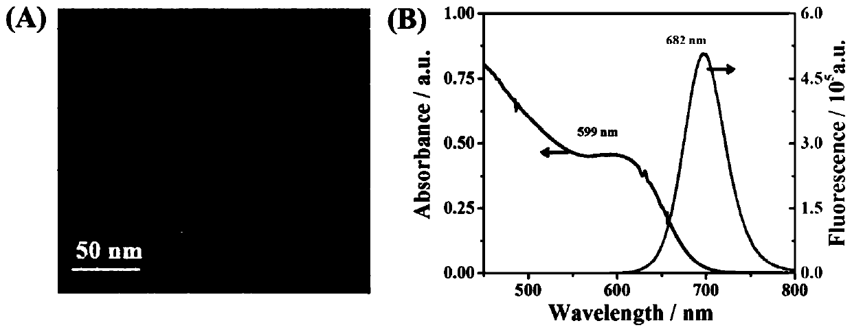 Preparation method and application of ratio aptamer sensor for streptomycin based on electrochemistry and photoelectrochemistry dual methods